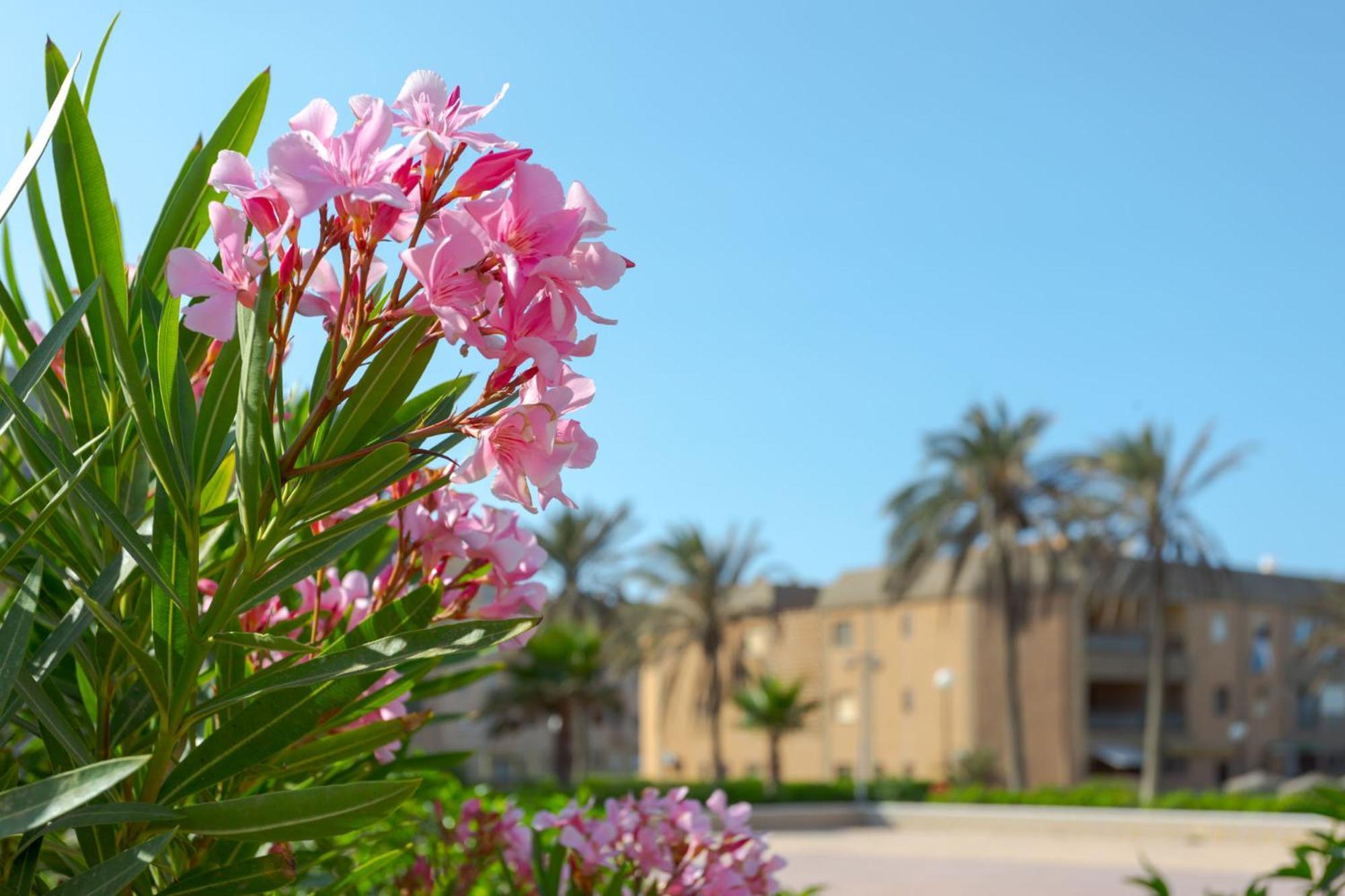 레타마르 Loft primera línea playa, Cabo de Gata, Wifi 아파트 외부 사진